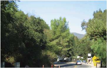 Topanga After View 2