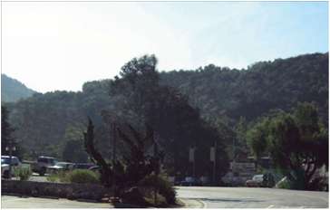 Topanga After View 4