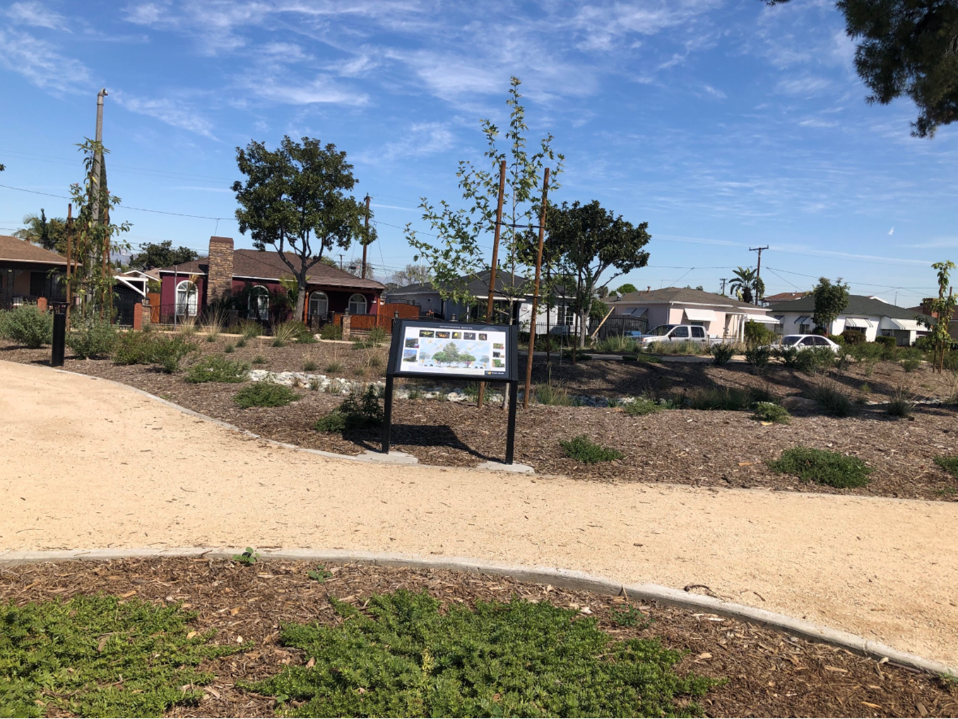 park landscape