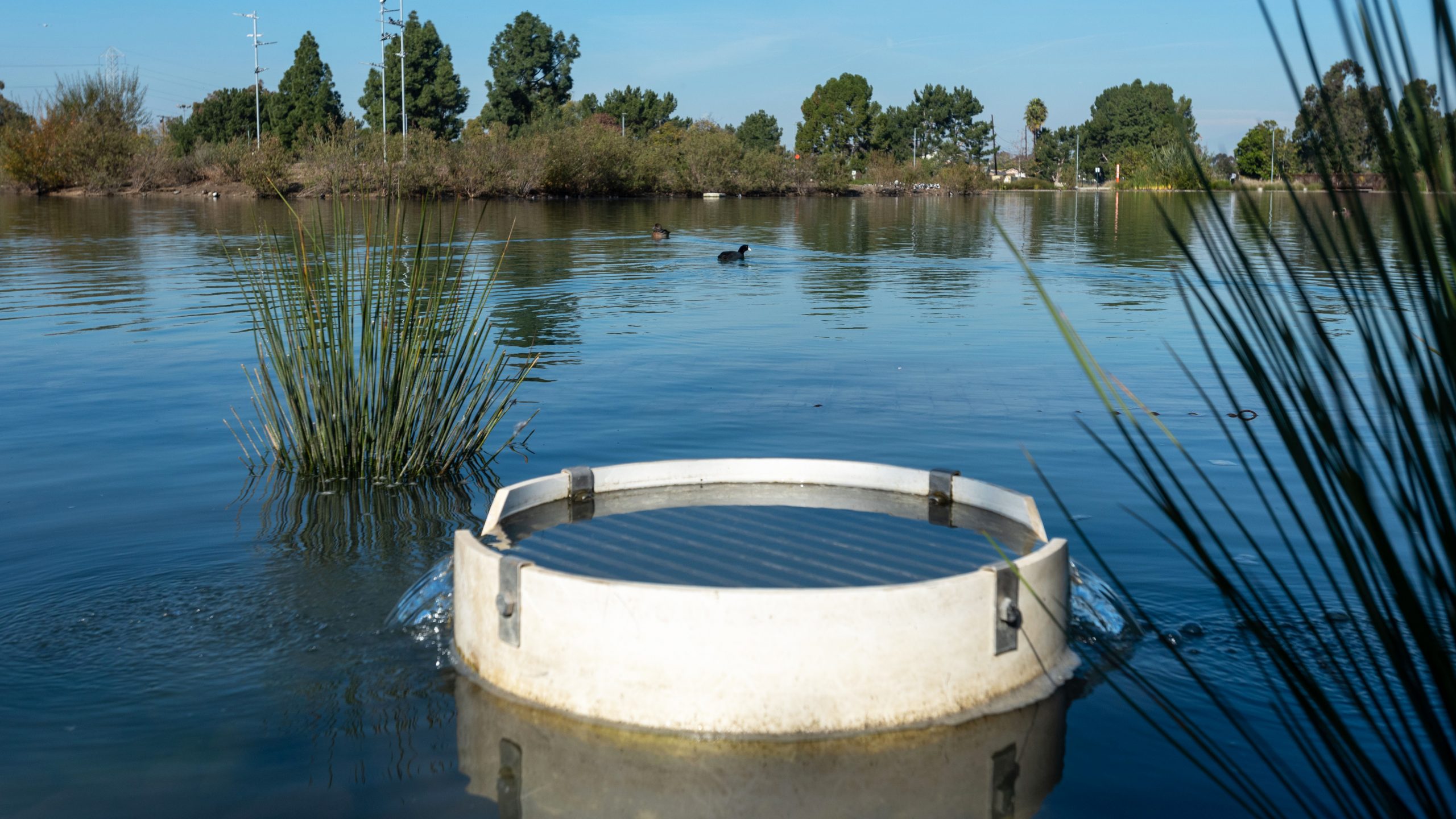 photo of stormwater device in a body of water 