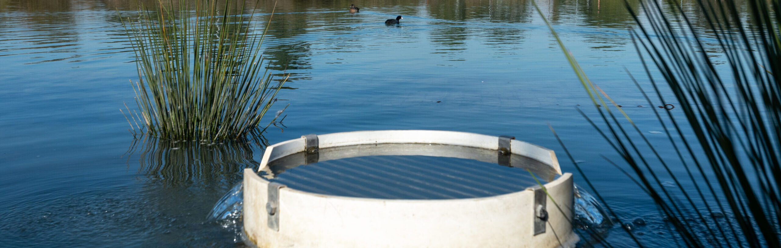 Water Resources, Communities, County, LA, SD5, Water, Live Oak Spreading Grounds, San Dimas Canyon and Peck Road Rain, Spreading grounds, Stormwater, Boat, Lake, Land, Nature, Outdoors, Transportation, Vehicle, Water Communities, County, LA, Live Oak Spreading Grounds, SD5, San Dimas Canyon and Peck Road Rain, Spreading grounds, Water