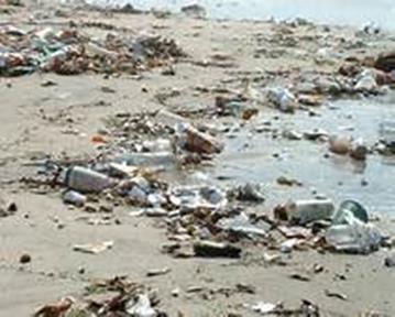 carried trash into storm drains. 