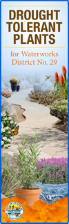 drought tolerant plants for waterworks district No. 29