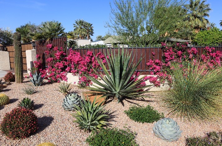 Drought-Tolerant Plants: Saves 30-60 gallons per 1,000 sq ft per watering..