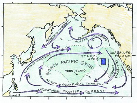 Environmental Impacts