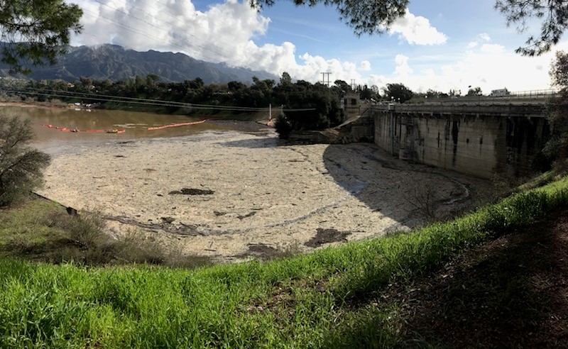 Storm Debris Removal at Devils Gate Reservoir