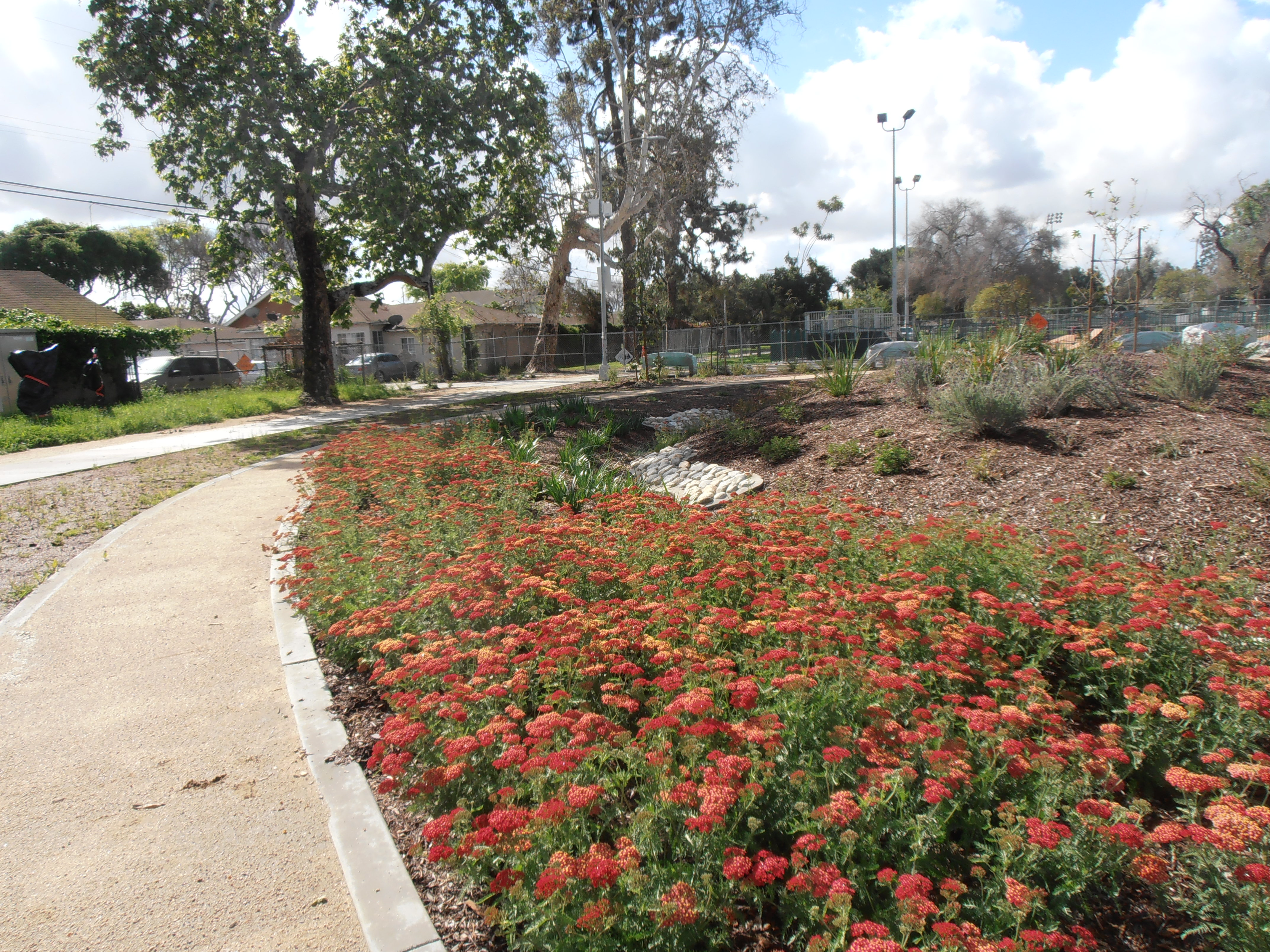park progress